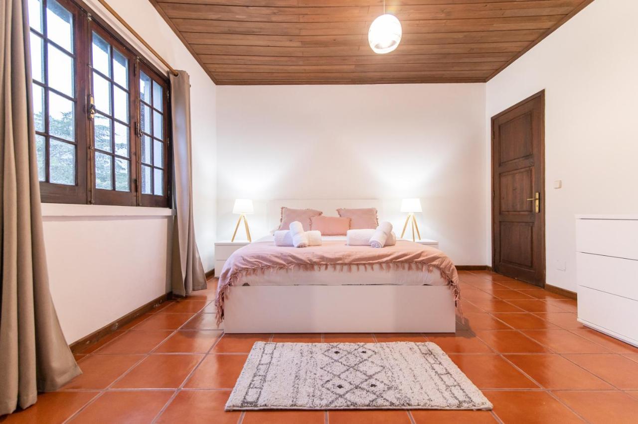 Casa Do Pinheiro With Shared Swimming Pool Villa Sao Vicente Ferreira Luaran gambar